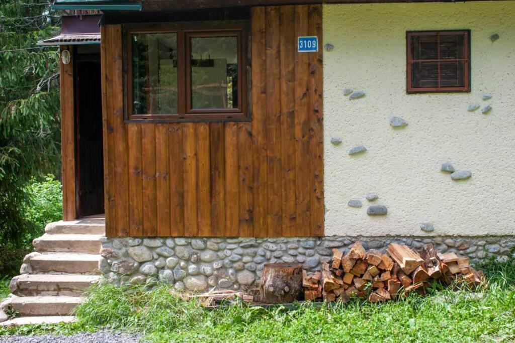 Enchanted Forest Chalet Tatranska Strba Exteriör bild