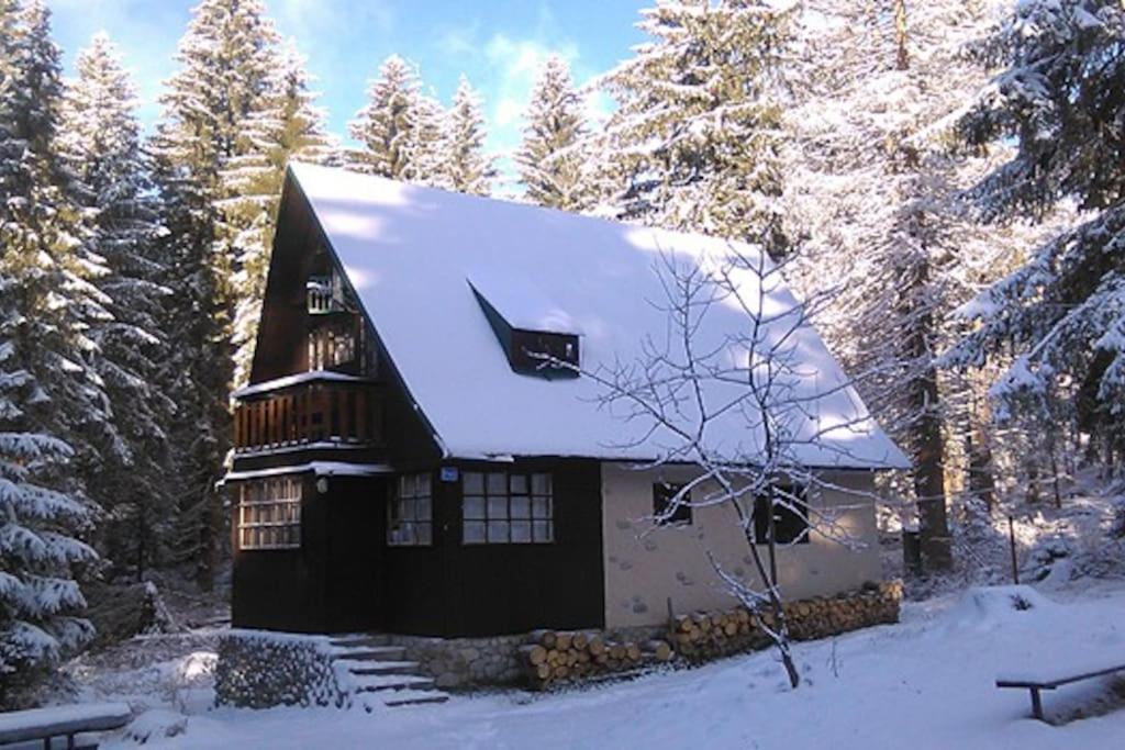 Enchanted Forest Chalet Tatranska Strba Exteriör bild